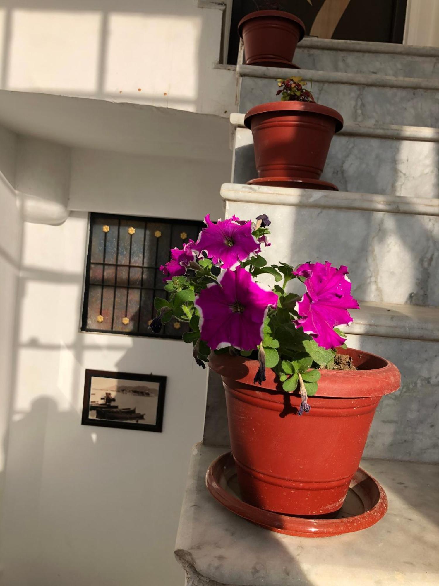 Hotel Nirvana Lakeside Udaipur Eksteriør bilde